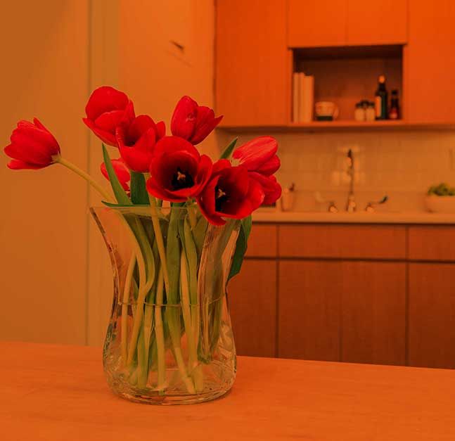 Flower vase on kitchen table.